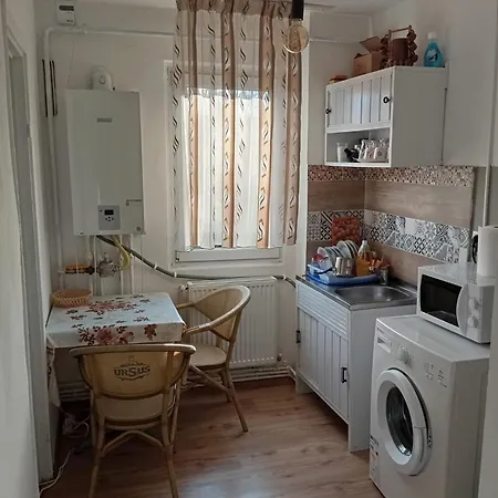 Targul De Craciun Zona Centrala Apartment