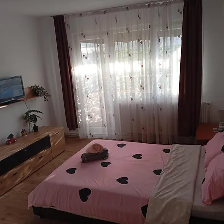 Targul De Craciun Zona Centrala