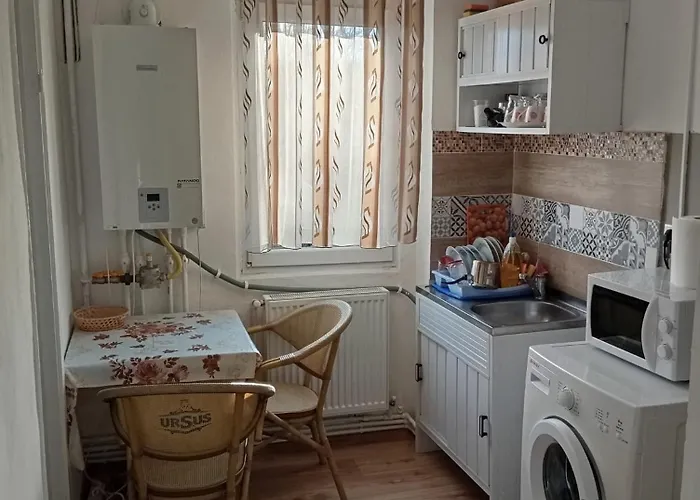 Targul De Craciun Zona Centrala Apartament